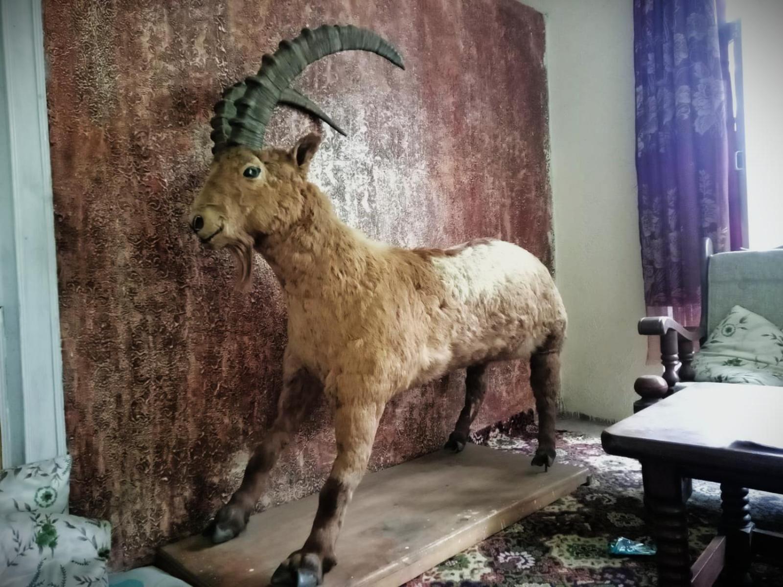 Golden Ibex Resort Skardu Εξωτερικό φωτογραφία